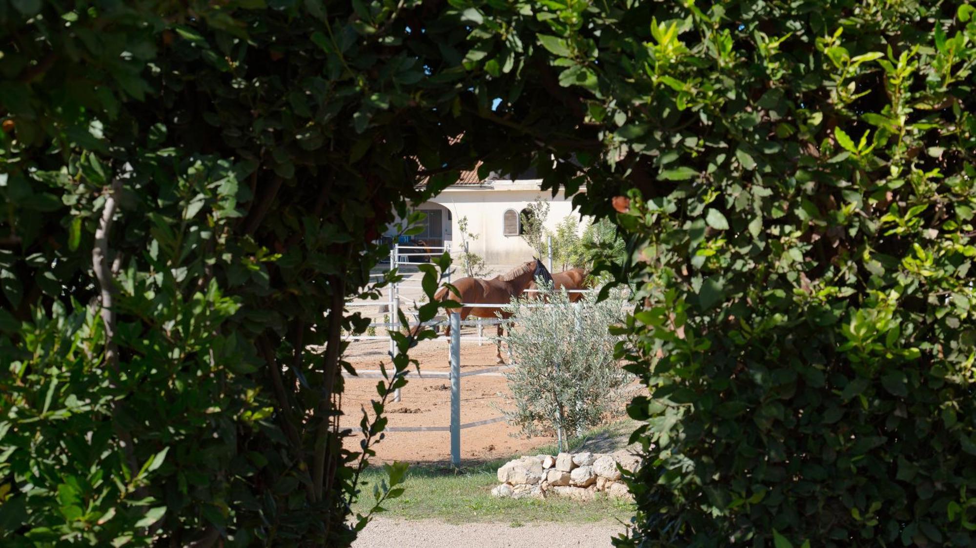 Delle Rose, Hotel & Horse Riding Торре-Вадо Екстер'єр фото
