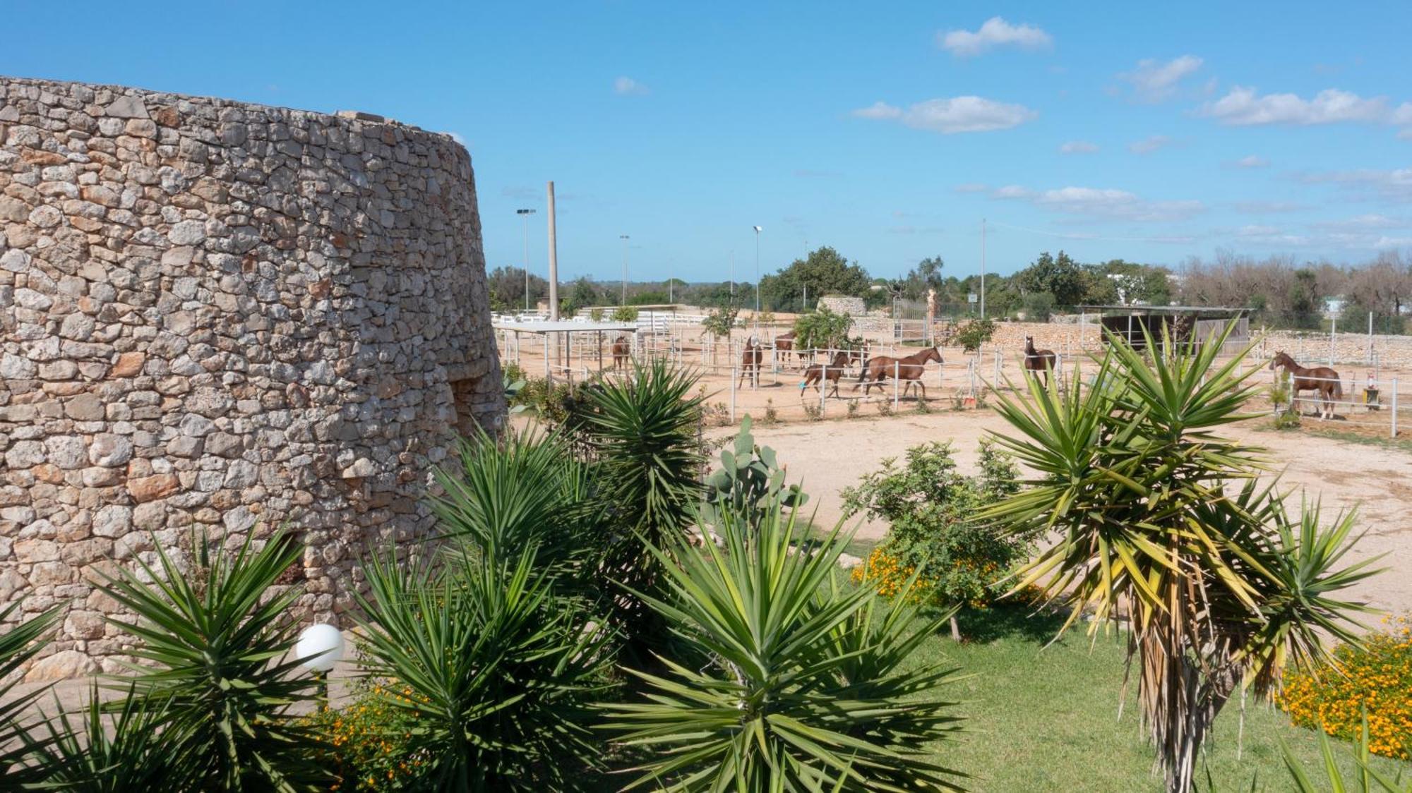 Delle Rose, Hotel & Horse Riding Торре-Вадо Екстер'єр фото